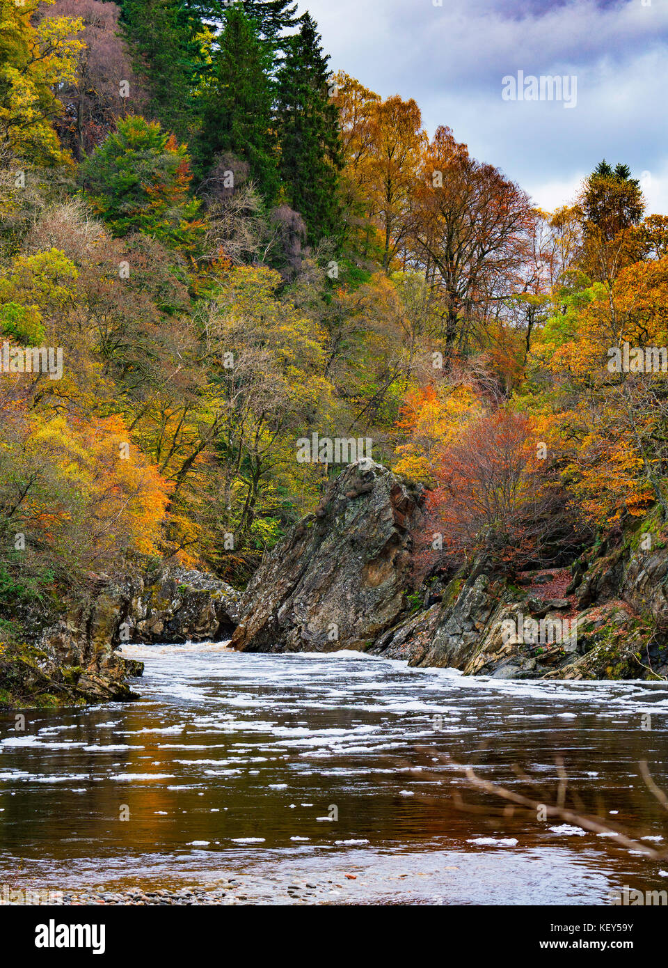 Spektakuläre Herbstfarben in natürlichen Wäldern am Ufer des Flusses Garry am historischen Pass von Killiecrankie bei Soldier's Leap in der Nähe von Pitlochry. Stockfoto