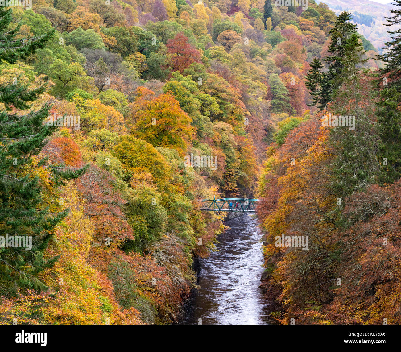 Spektakuläre Herbstfarben in natürlichen Wäldern am Ufer des Flusses Garry am historischen Pass von Killiecrankie in der Nähe von Pitlochry. Stockfoto