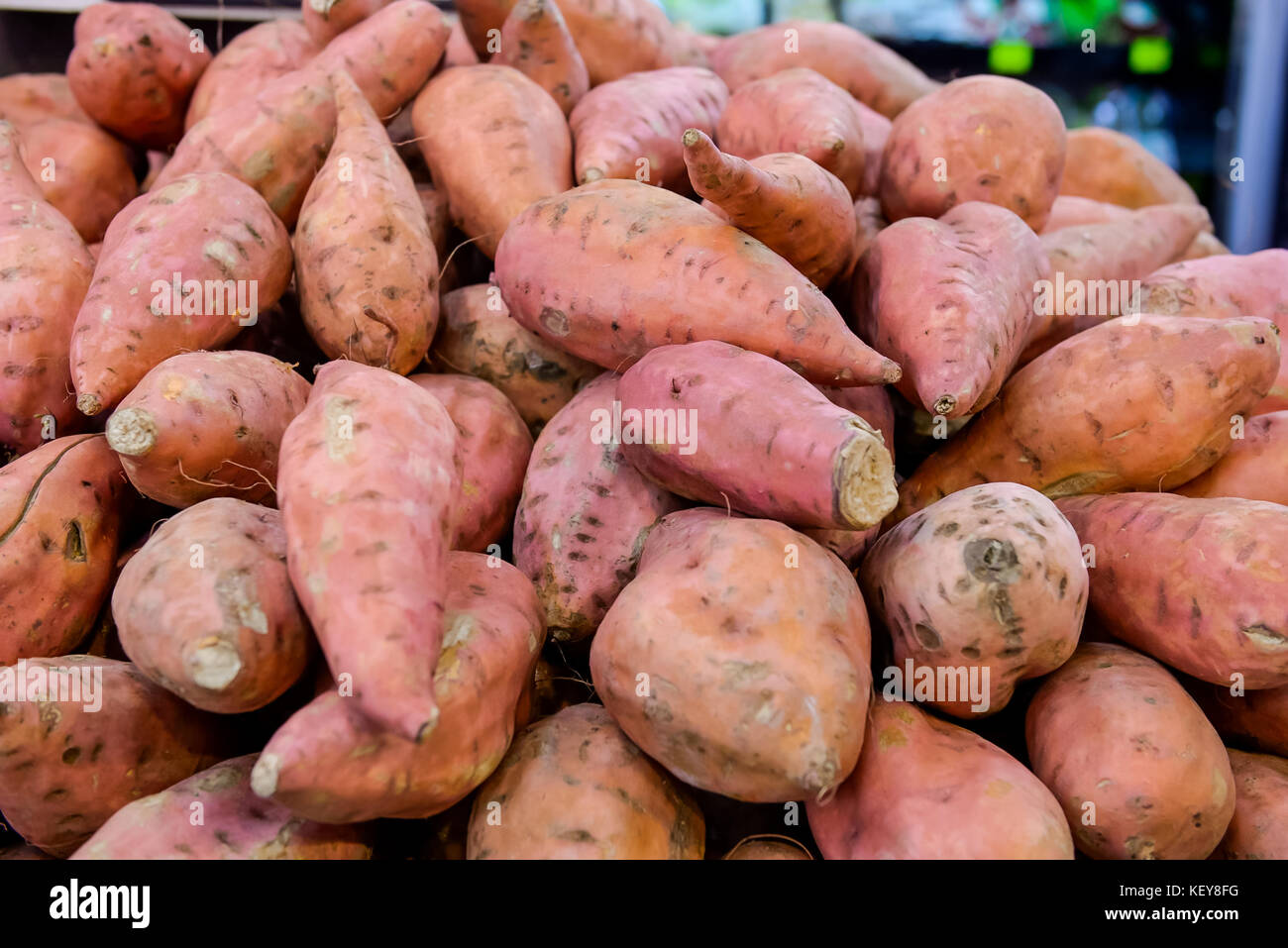 In der Nähe von frischem Süßkartoffel mit root am Bauernmarkt als Lebensmittel Hintergrund. Organische, gesunde, vegetarische Ernährung Food Konzept. Selektive konzentrieren. Stockfoto