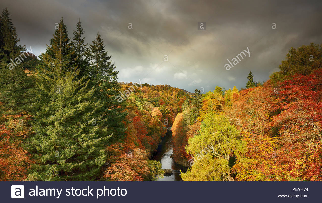 Sunlit durchnässt Bäume mit den Farben der Herbst in voller Blüte von Killiecrankie, mit Blick auf den Fluss Garry. Stockfoto