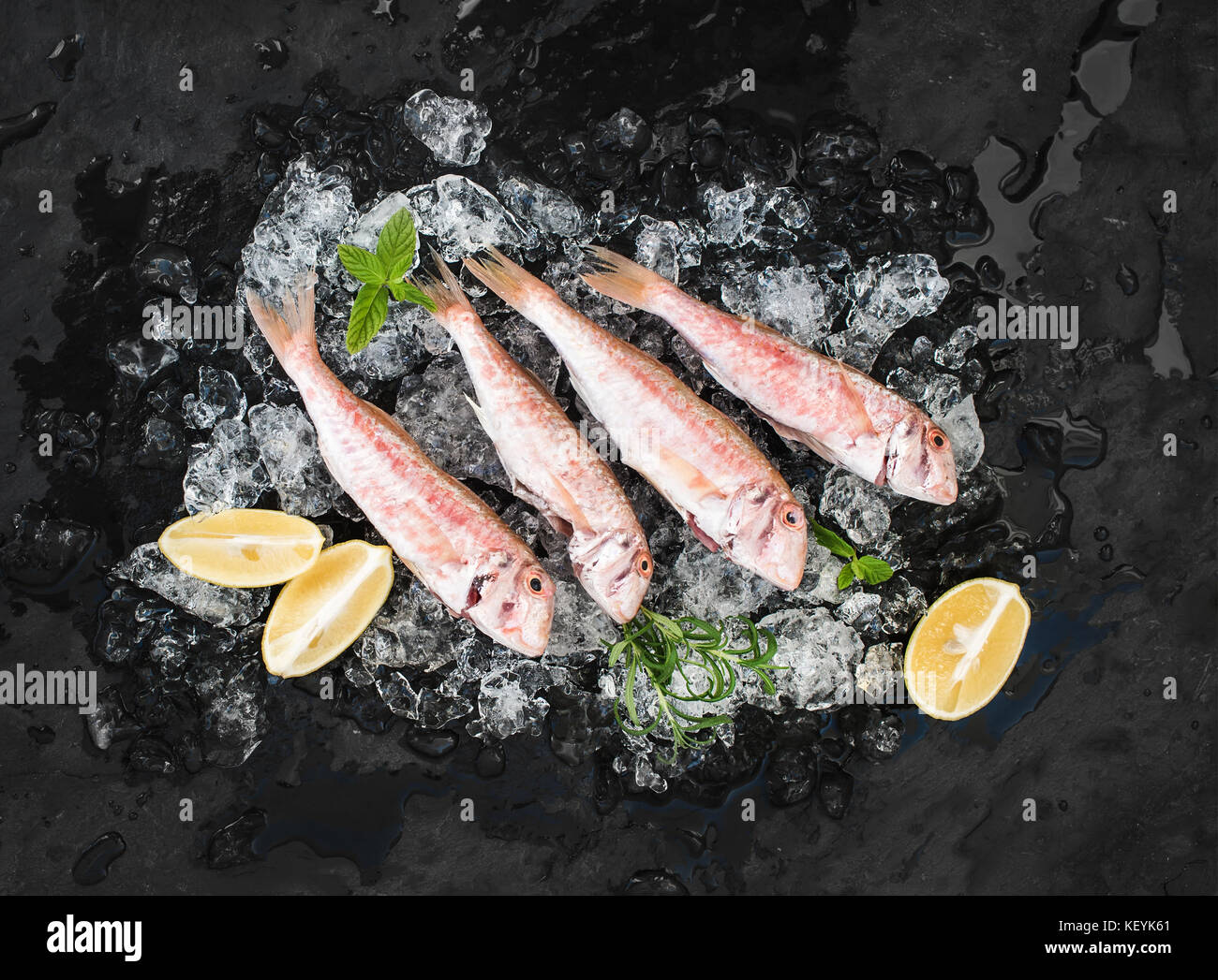 Rohe rote Meerbarbe Fisch mit Zitrone, Minze und Rosmarin auf abgeplatzte Eis Stockfoto