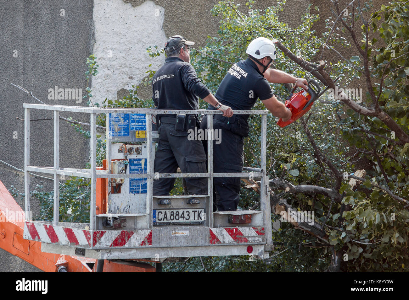 Sofia, Bulgarien - 13. September: Bulgarische Katastrophenschutz Einheiten entfernt gefallenen Baum in Sofia Innenstadt, 13. September 2017. Stockfoto