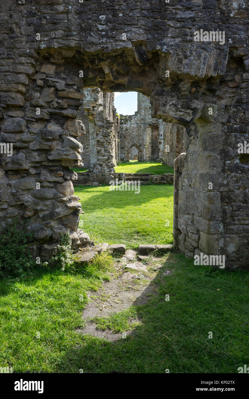 Die schöne Ruinen von Easby Abbey in der Nähe von Richmond, North Yorkshire, England. Stockfoto