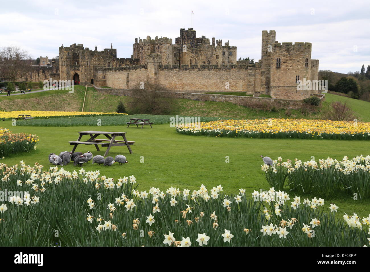 Alnwick Castle in Alnwick, Northumberland Stockfoto