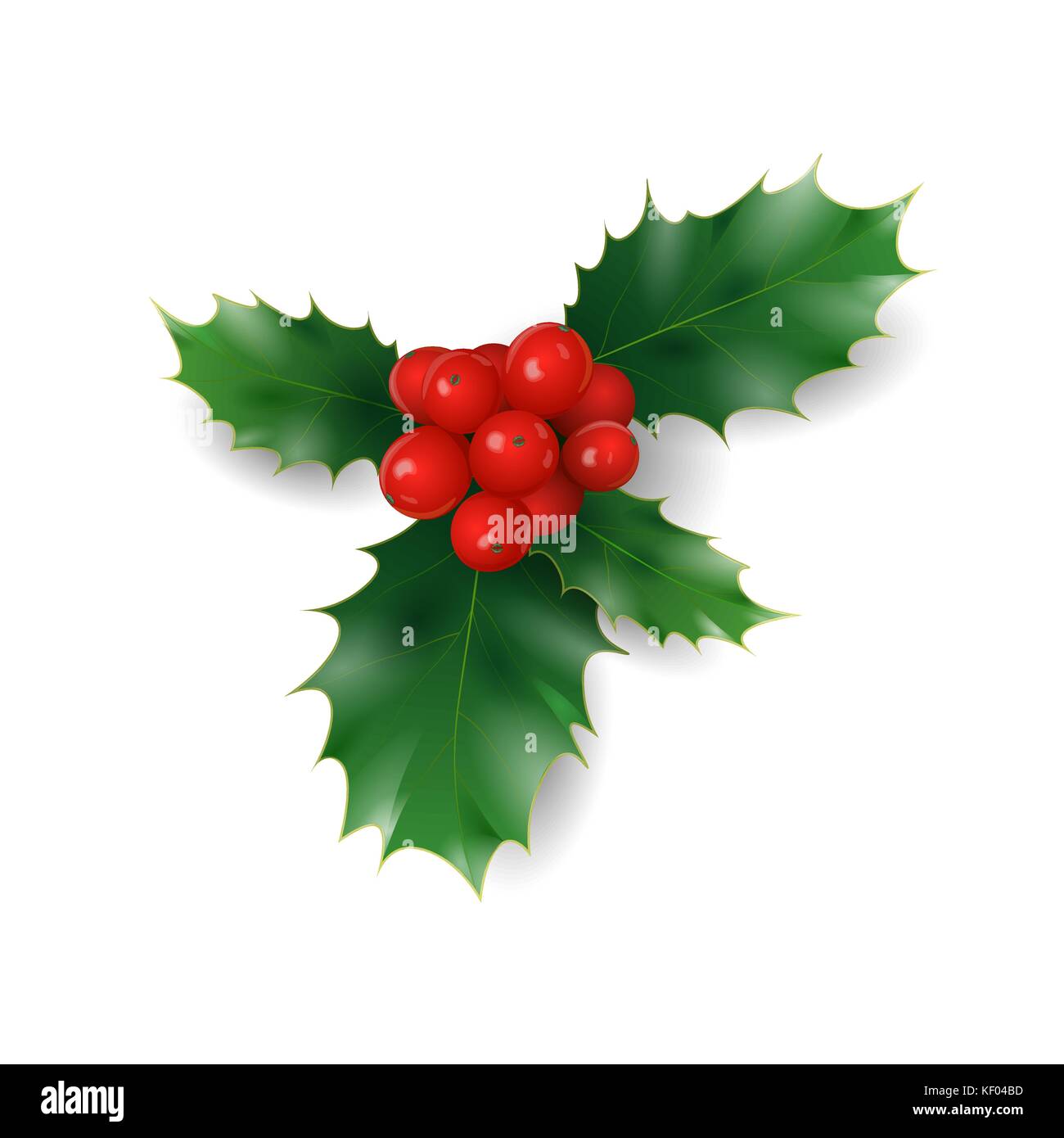 Holly Zweig mit roten Beeren weihnachten Symbol. Urlaub traditionelle Dekoration neue Jahr Kranz 