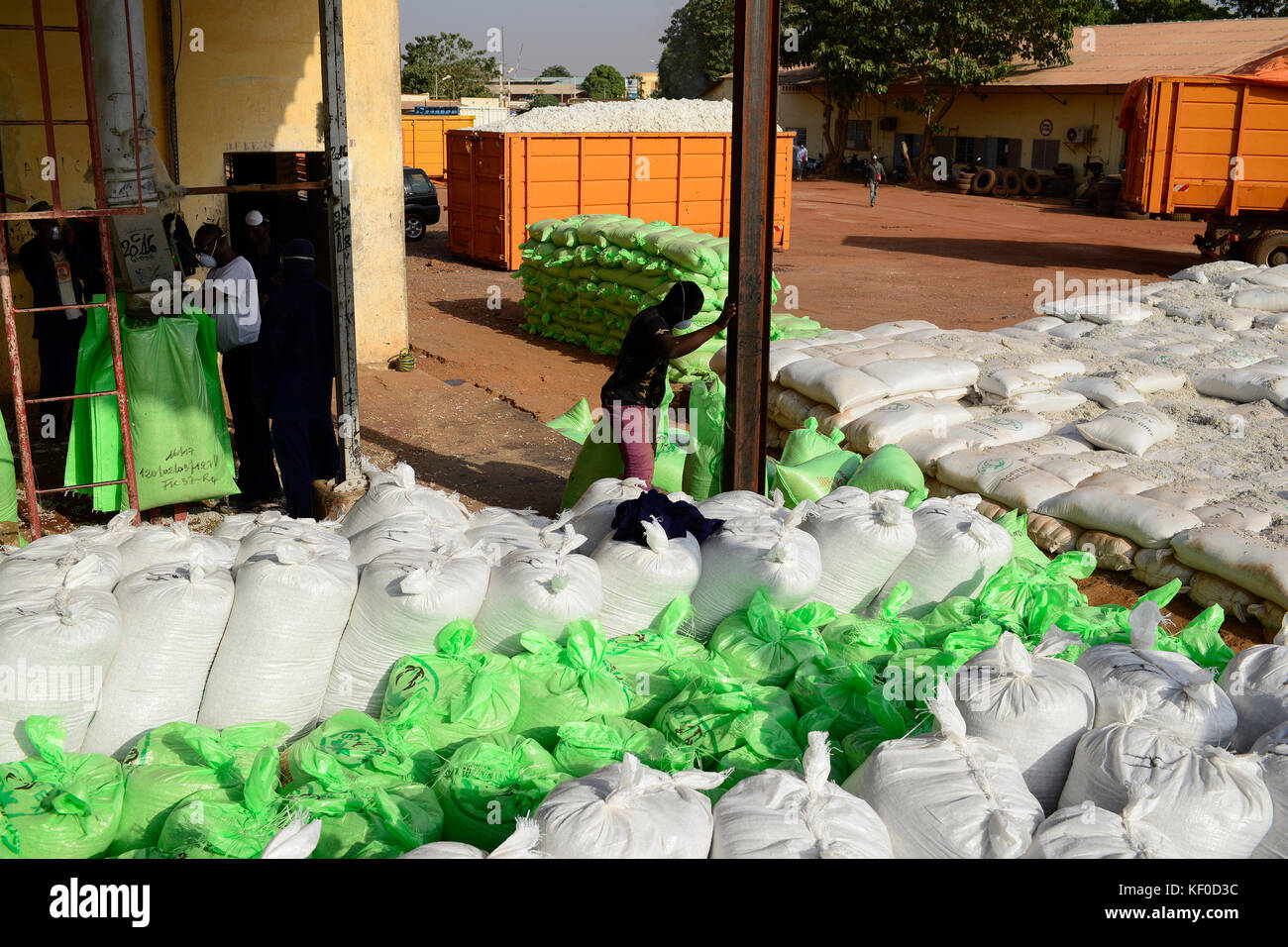 BURKINA FASO, Bobo Dioulasso, Société Burkinabè de Fasern Textil SOFITEX Entkörnungsunternehmen Unternehmenseinheit Bobo ICH, Verarbeitung von konventionellen und Gene manipuliert Monsanto Bt Baumwolle, Baumwolle Samen in Kunststoffbeutel / SOFITEX, Fabrik fuer Baumwollentkernung Werk Bobo ICH, Verarbeitung von konventioneller und Monsanto genmanipulierter Baumwolle, Baumwollsamen in Plastiksaecken Stockfoto