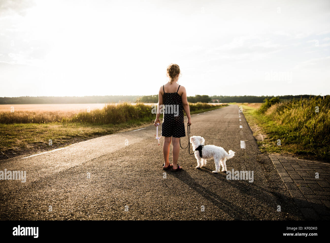 Mädchen mit Hund stehend auf ländlichen Straßenlage Miniatur Wind Turbine Stockfoto