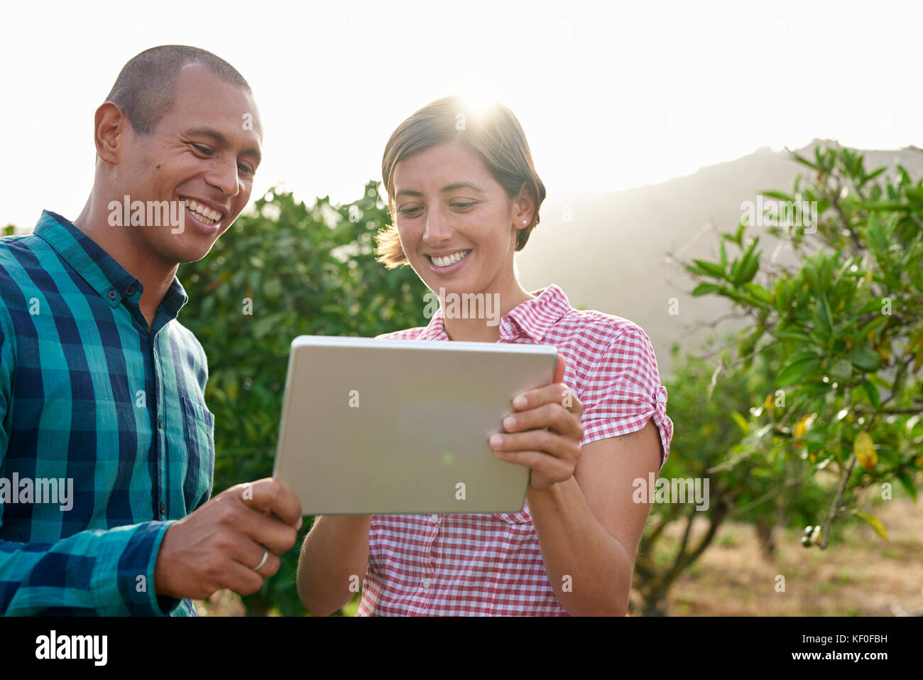 Lächelnden jungen Paar an der Tablet-PC in einem Obstgarten suchen Stockfoto