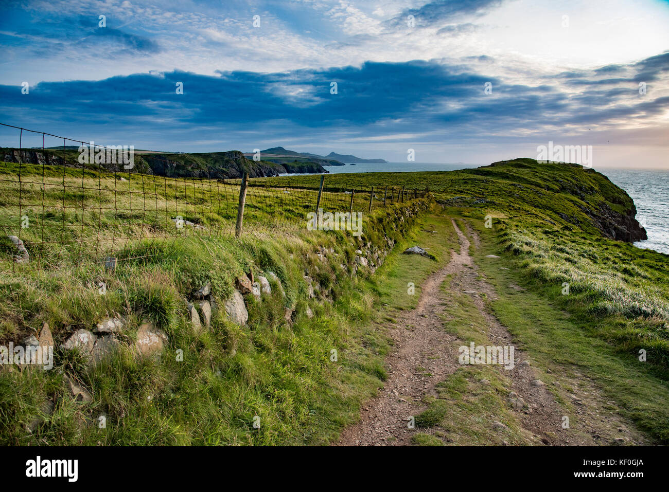 Coastal Path, Ynys Barry, Abereiddy, Pembrokeshire, Dyfed, Wales, Vereinigtes Königreich. Stockfoto
