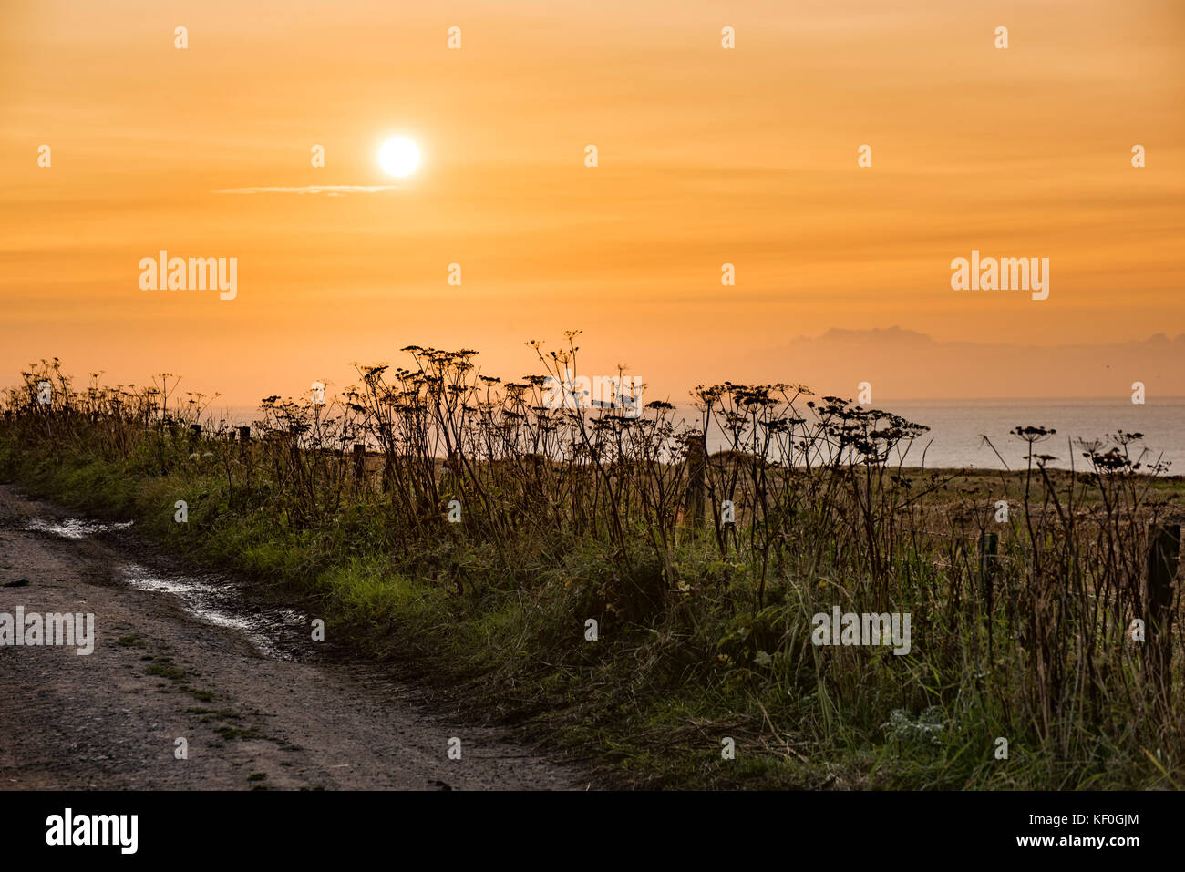 Sonnenuntergang in Abereiddy, Pembrokeshire, Dyfed, Wales, Vereinigtes Königreich. Stockfoto