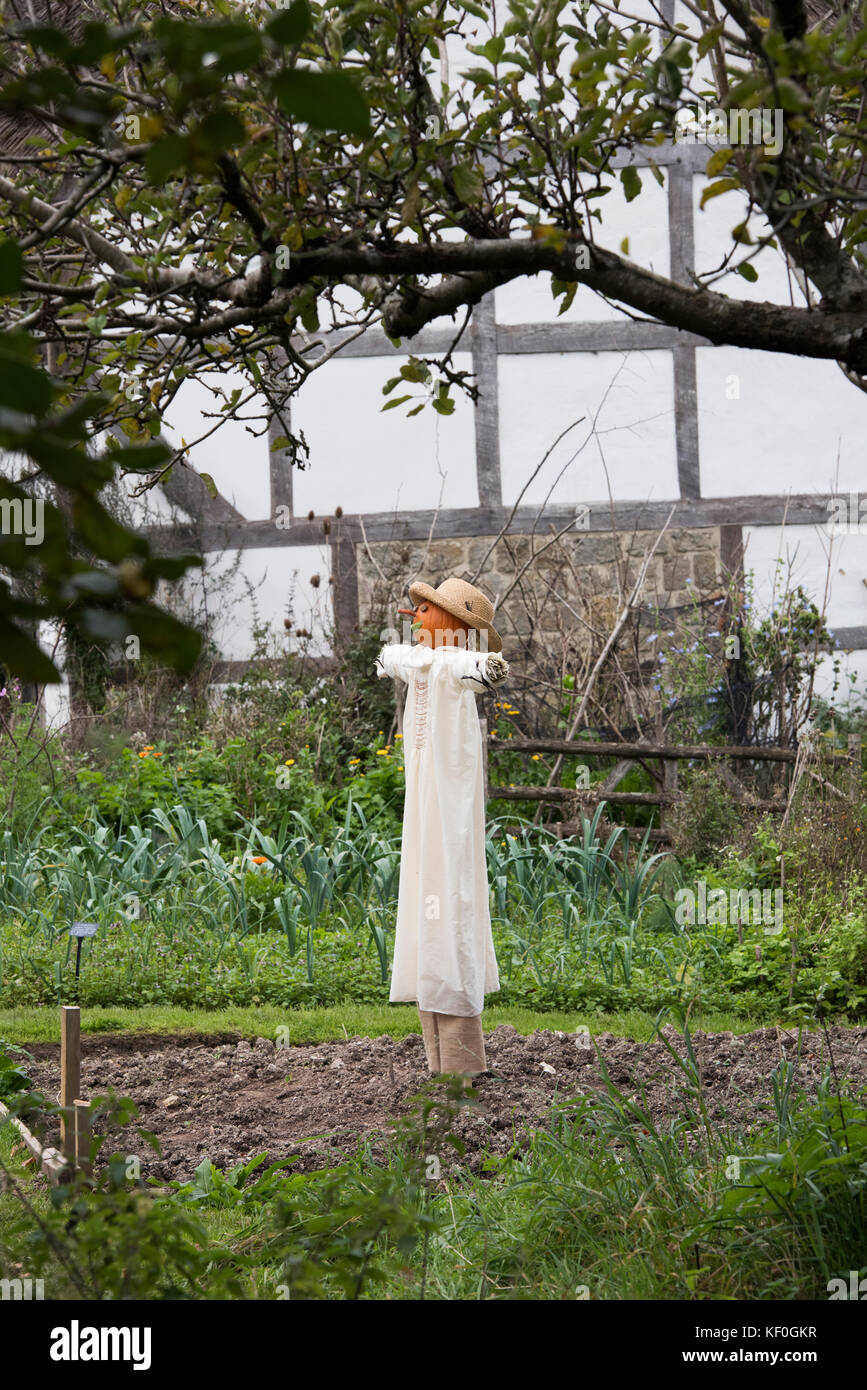 Altmodische Pumpkin Head Vogelscheuche vor einem mittelalterlichen Fachwerkhaus bei Weald und Downland Museums, Herbst, Singleton, Sussex, England Stockfoto