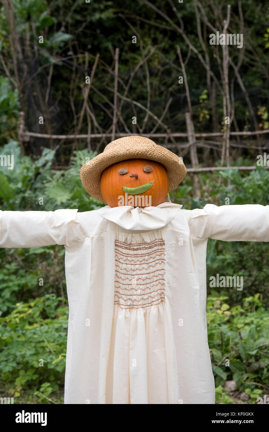 Altmodische Pumpkin Head Vogelscheuche in einem Gemüsegarten bei Weald und Downland Museums, Herbst, Singleton, Sussex, England Stockfoto