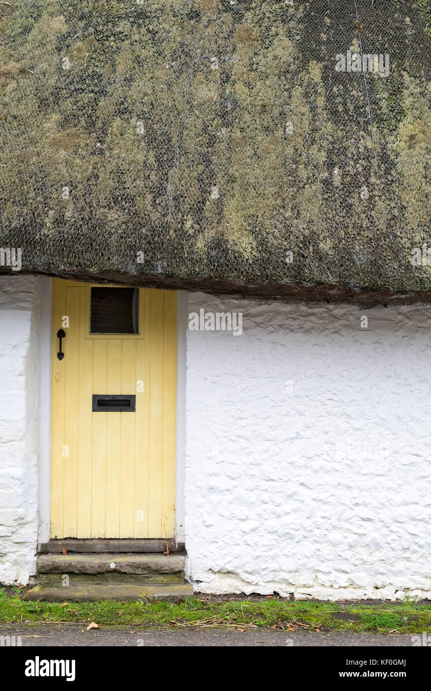 Gelb Holz Haustür in einem strohgedeckten Häuschen in Singleton, West Sussex, England Stockfoto