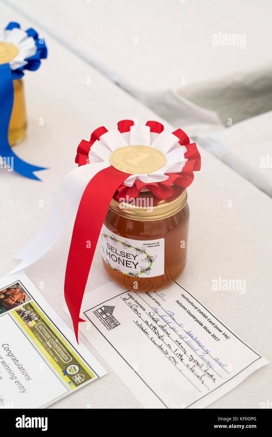 Jar von lokal produzierten Honig und einem ersten Platz Rosette bei Weald und Downland Open Air Museum, Herbst, Singleton, Sussex, England Stockfoto