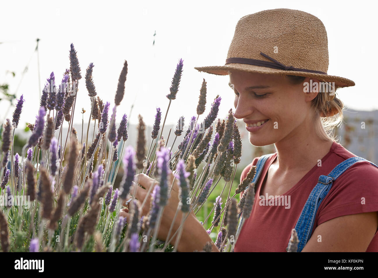 Lächelnde Frau mit Strohhut im lavendelfeld Stockfoto
