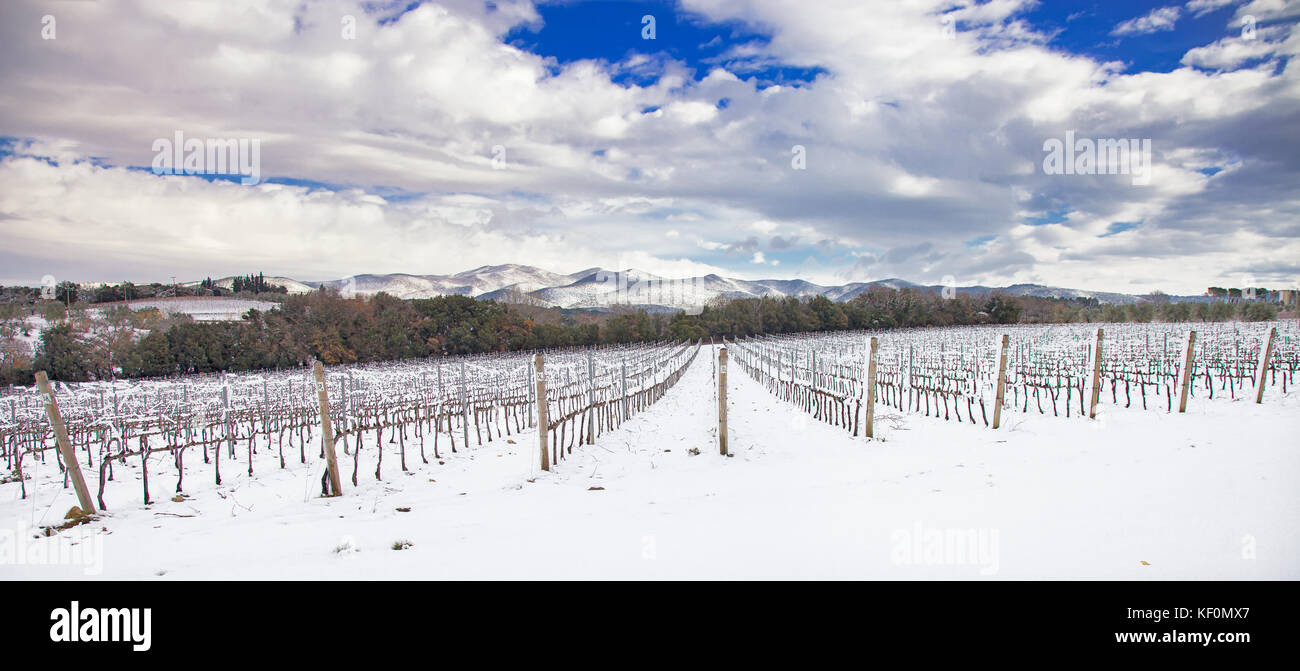Weinberge Zeilen durch den Schnee im Winter abgedeckt. Chianti, Florenz, Toskana, Italien Stockfoto
