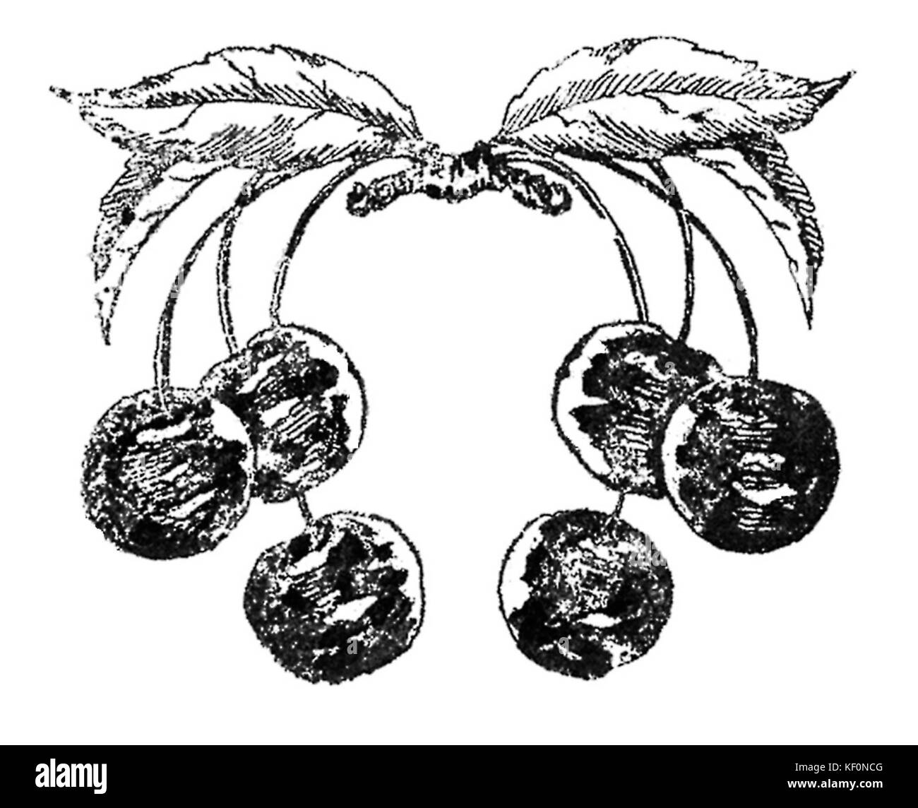 Kompoty Konfitury, ich inne konserwy owocowe Seite 0002 Stockfoto