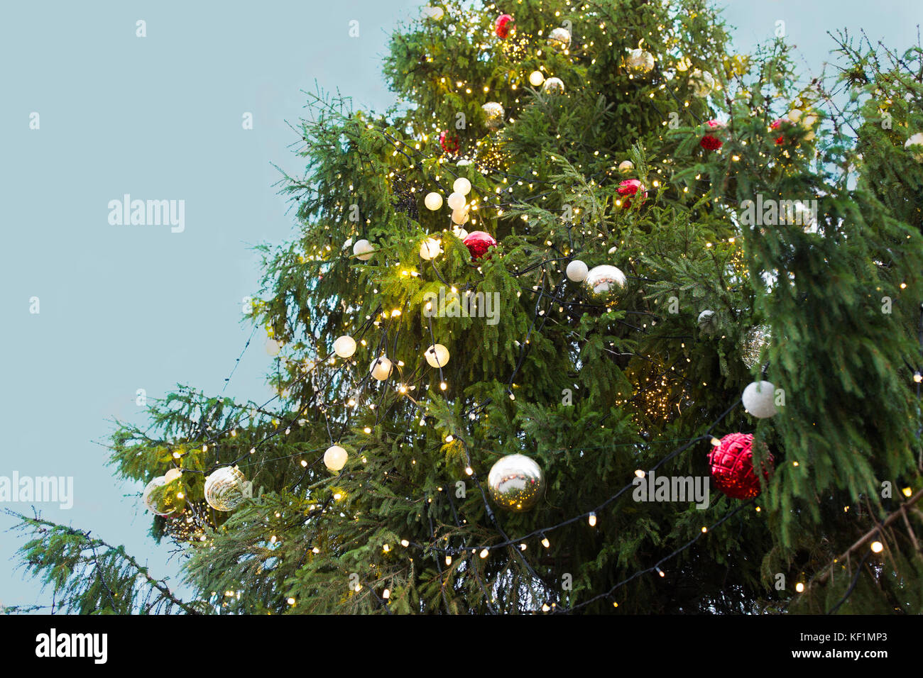 Nahaufnahme der Tanne mit Weihnachtsbaum Spielzeug im Freien Stockfoto