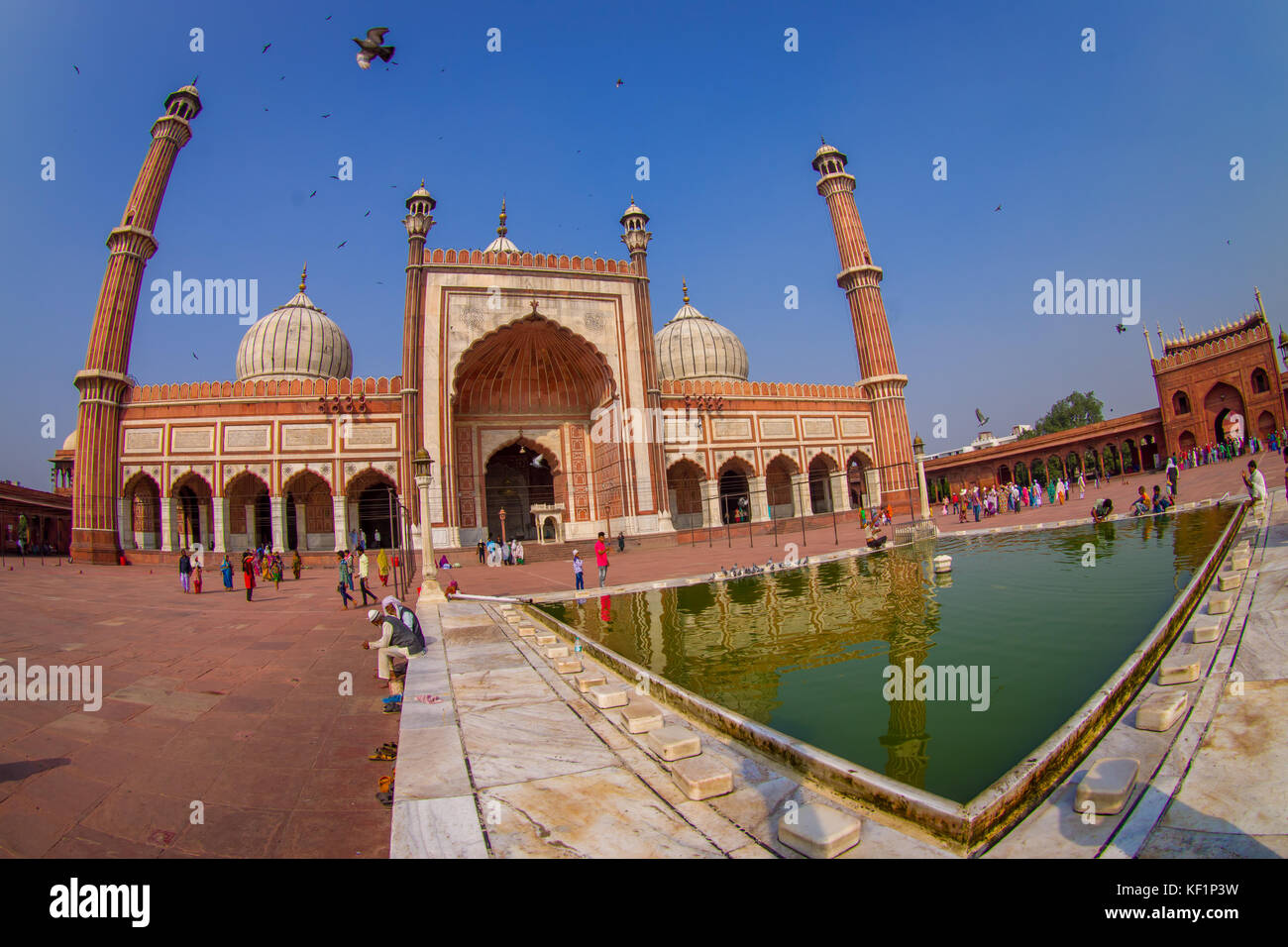 Delhi, Indien - 27. September 2017: unbekannte Menschen zu Fuß in der Nähe des künstlichen Teich vor einem wunderschönen Jama Masjid Tempel, mit einem Vögel fliegen über dem Tempel, das ist die größte muslimische Moschee in Delhi, Indien, Fischaugen-Effekt Stockfoto