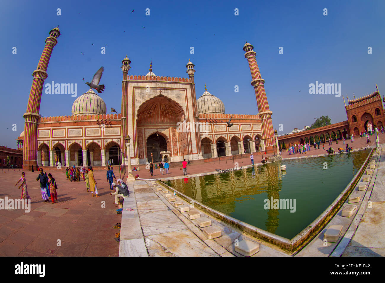 Delhi, Indien - 27. September 2017: unbekannte Menschen zu Fuß in der Nähe des künstlichen Teich vor einem wunderschönen Jama Masjid Tempel, mit einem Vögel fliegen über dem Tempel, das ist die größte muslimische Moschee in Delhi, Indien, Fischaugen-Effekt Stockfoto
