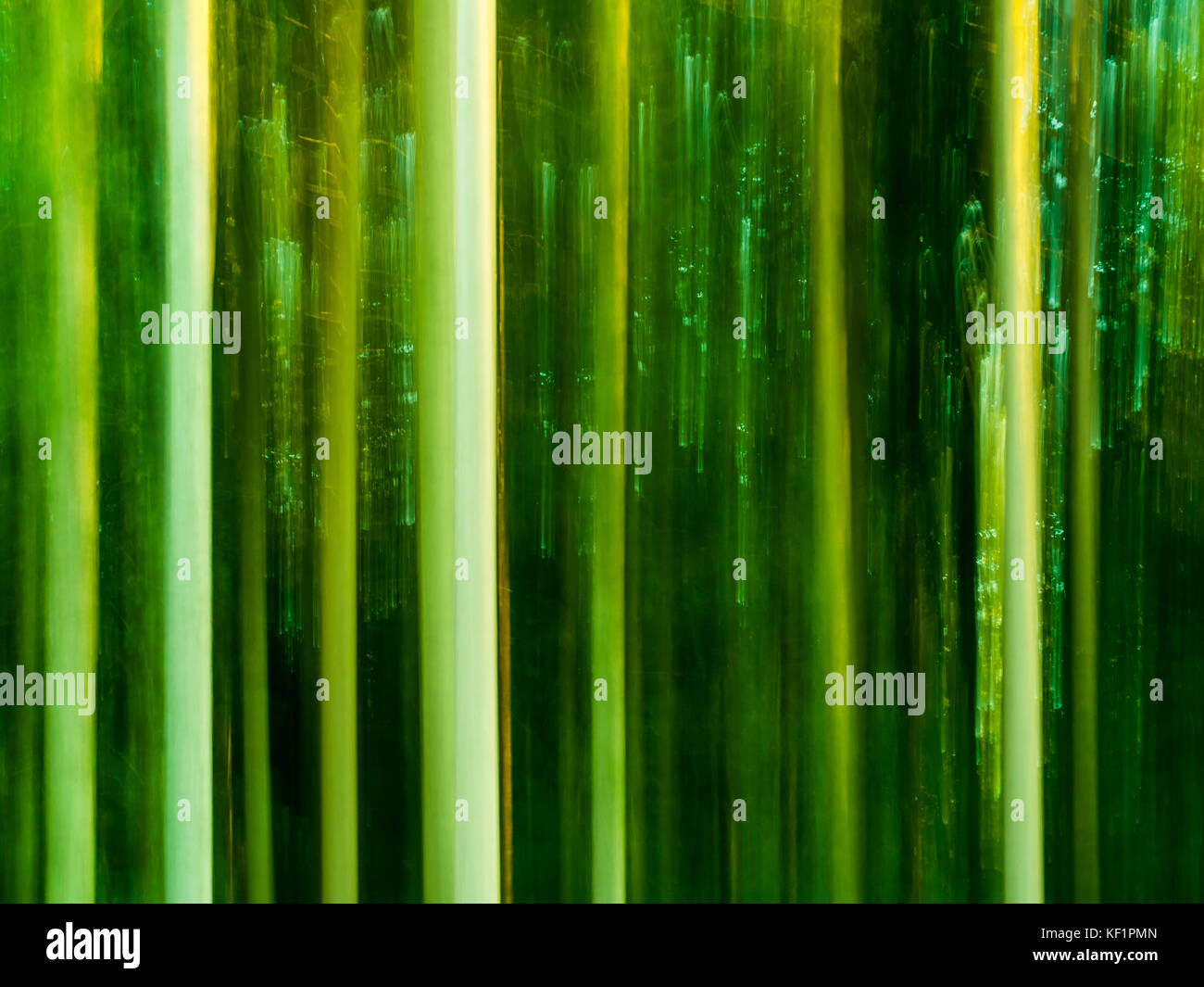 Wald-abstrakten Impressionismus verschwommenen Hintergrund, erstellt mit Panning Technik. Querformat Stockfoto