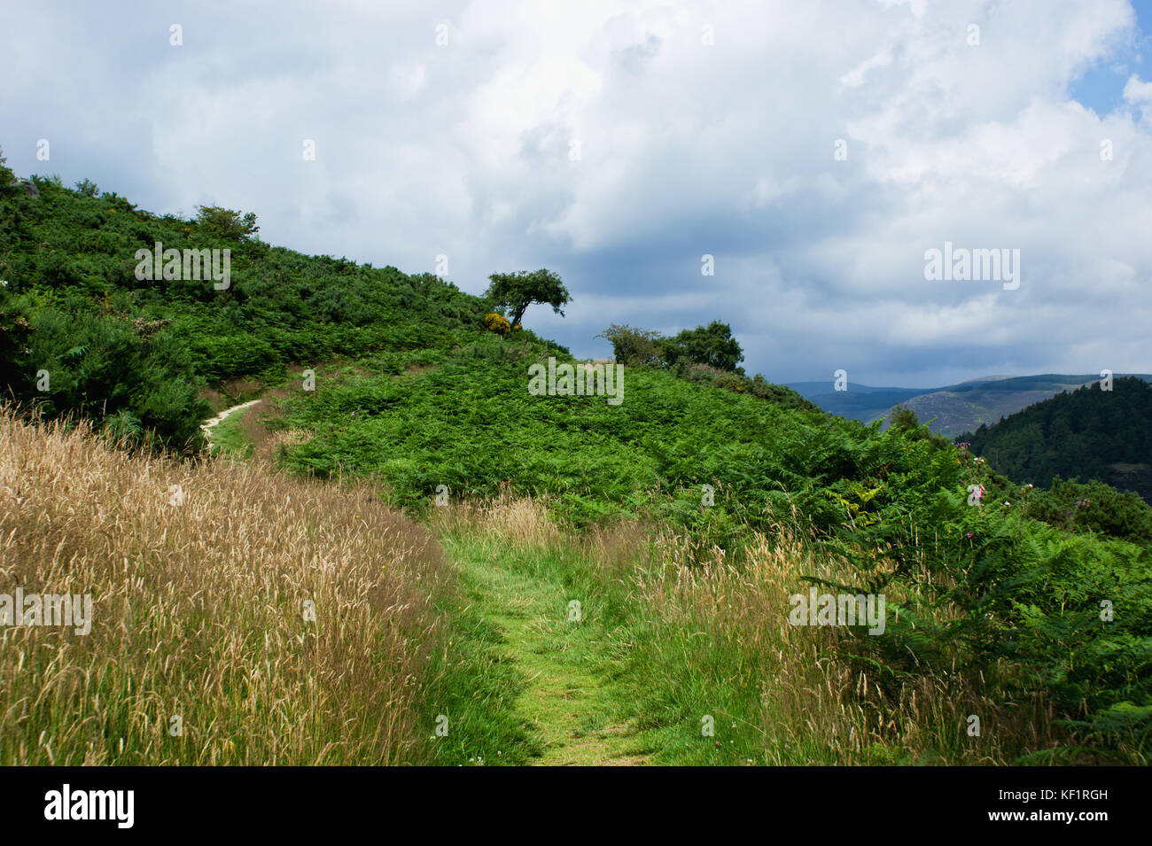 Schöne Landschaft, Co Wicklow, Irland Stockfoto