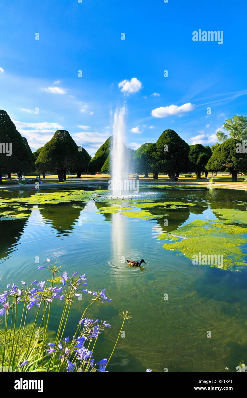 Der große Springbrunnen Garten umgeben von alten Eiben umgeben von einem perfekten Sommernachmittag, Hampton Court Palace Gardens Stockfoto