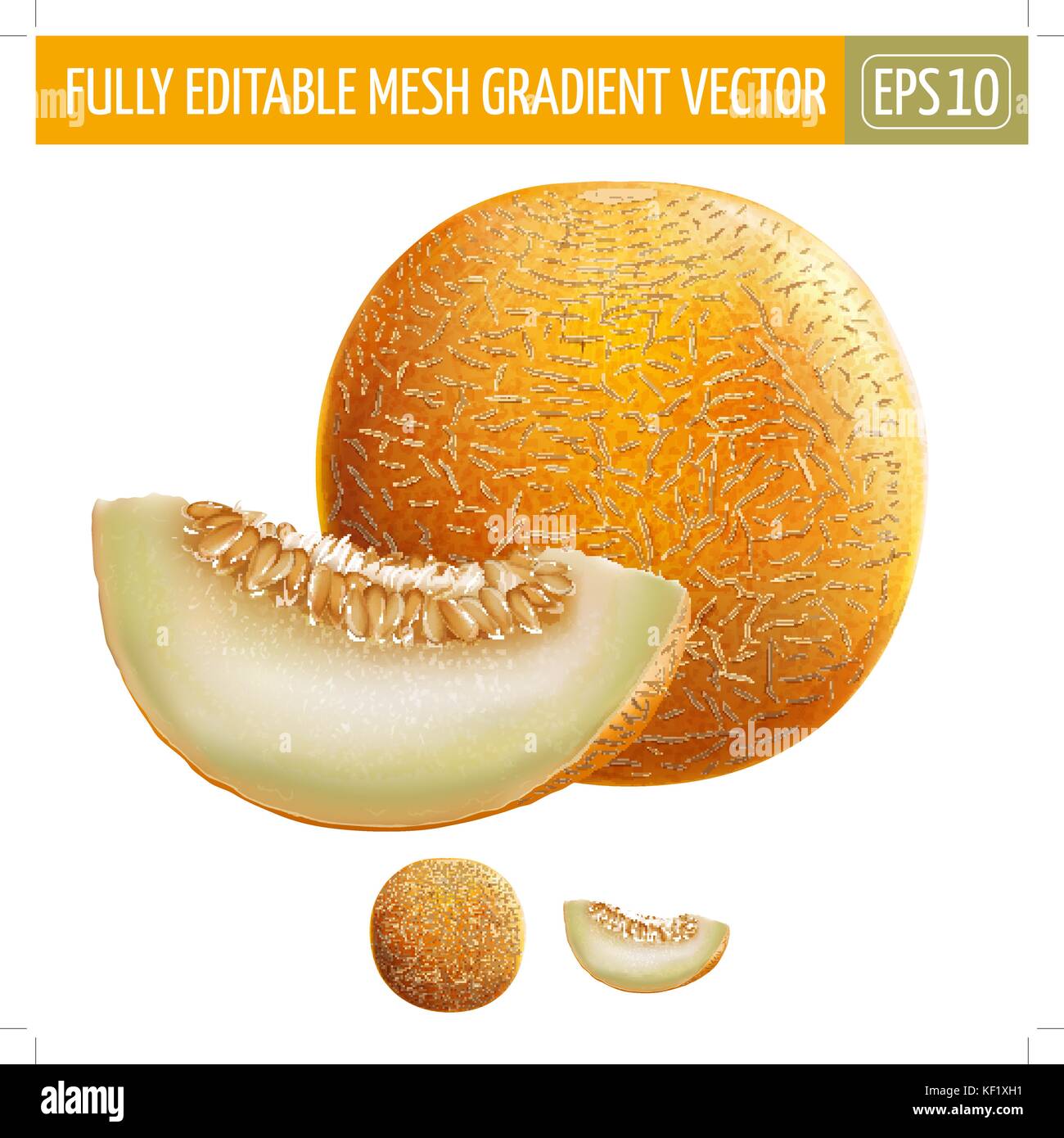 Melone auf weißem Hintergrund. Vector Illustration Stock Vektor