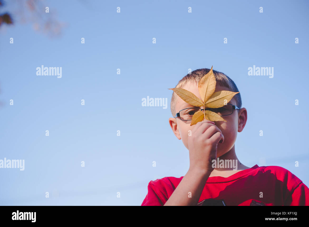 10-11 Jahre alter Junge holding Blatt vor Gesicht Stockfoto