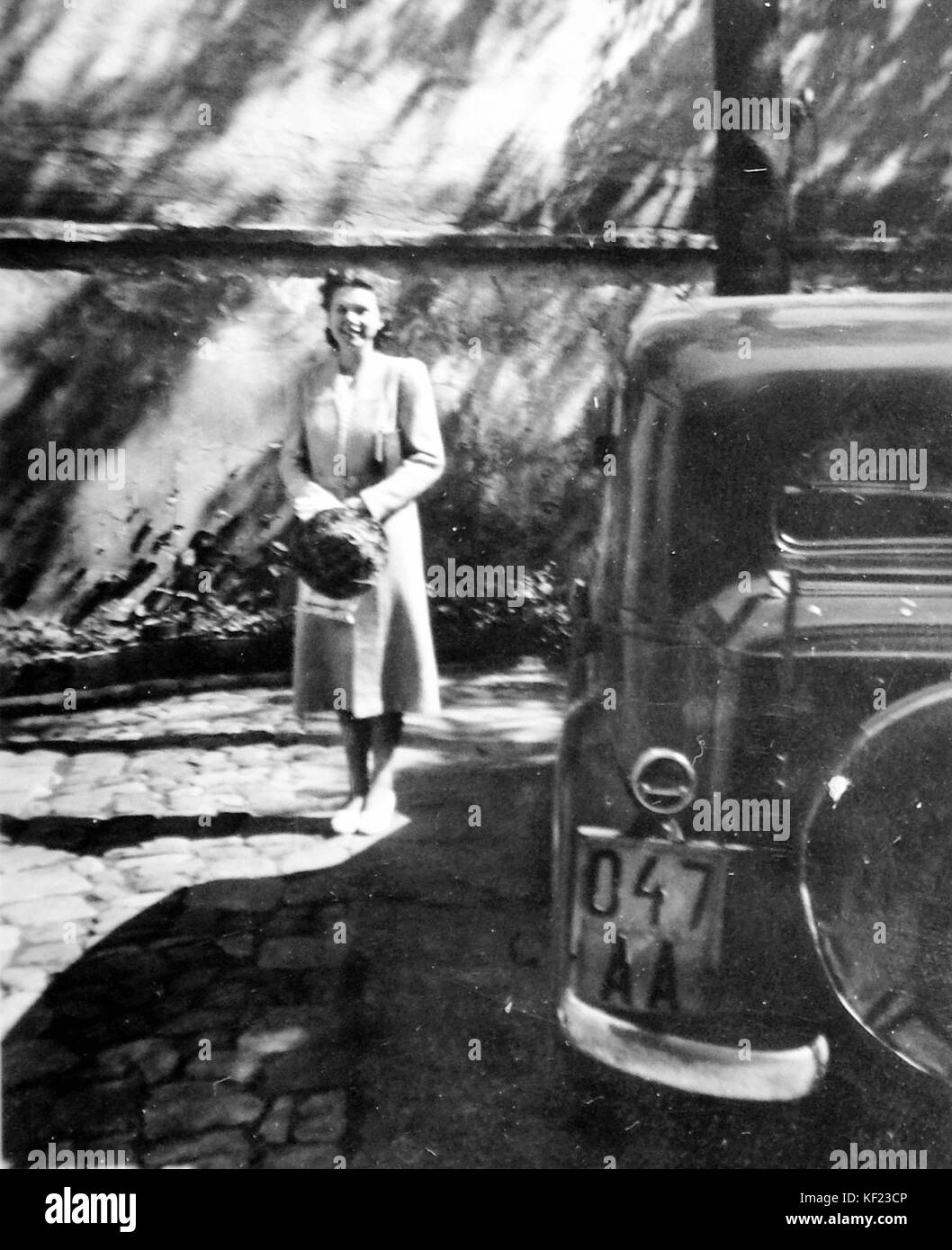 Nummernschild, Automobil, amerikanische Marke, Dame, Hut, Handtasche 2532 Stockfoto