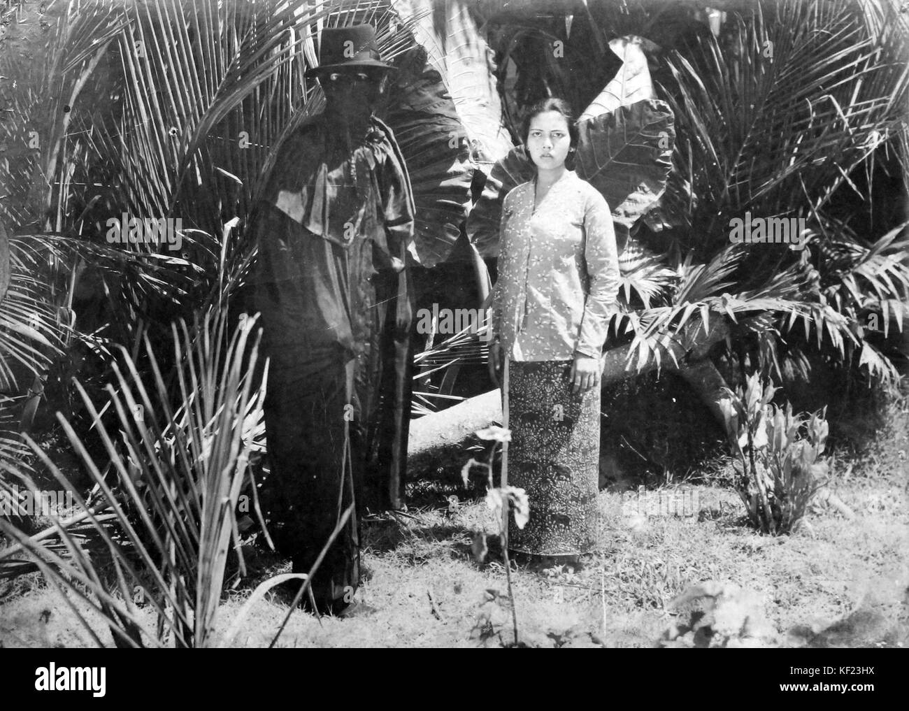 Gagak Los noch 11. Stockfoto