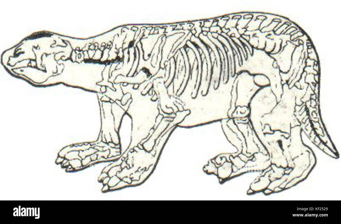 Megatherium dessin Stockfoto