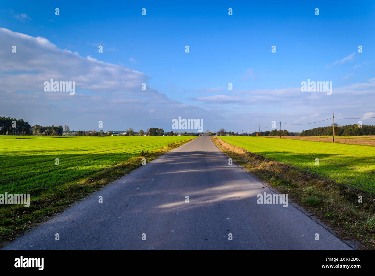 Herbst Ernte Felder gesät mit Getreide Stockfoto