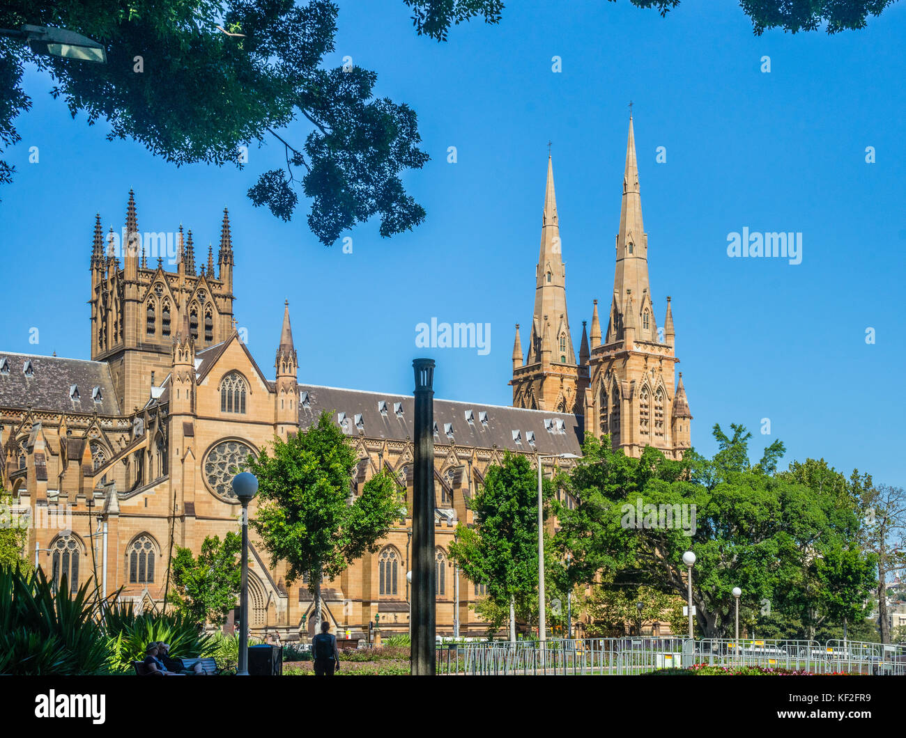 Australien, New South Wales, Sydney, Hyde Park, mit Blick auf die gotische St. Mary's Cathedral Stockfoto