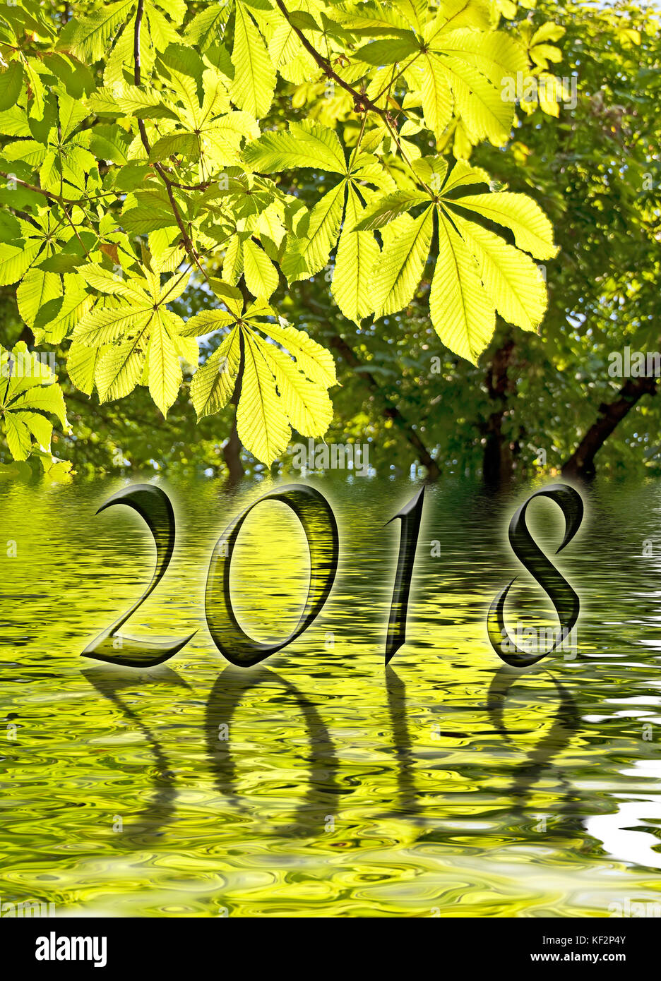 2018, grüne Blätter und Wasser Reflexionen Grußkarte Stockfoto