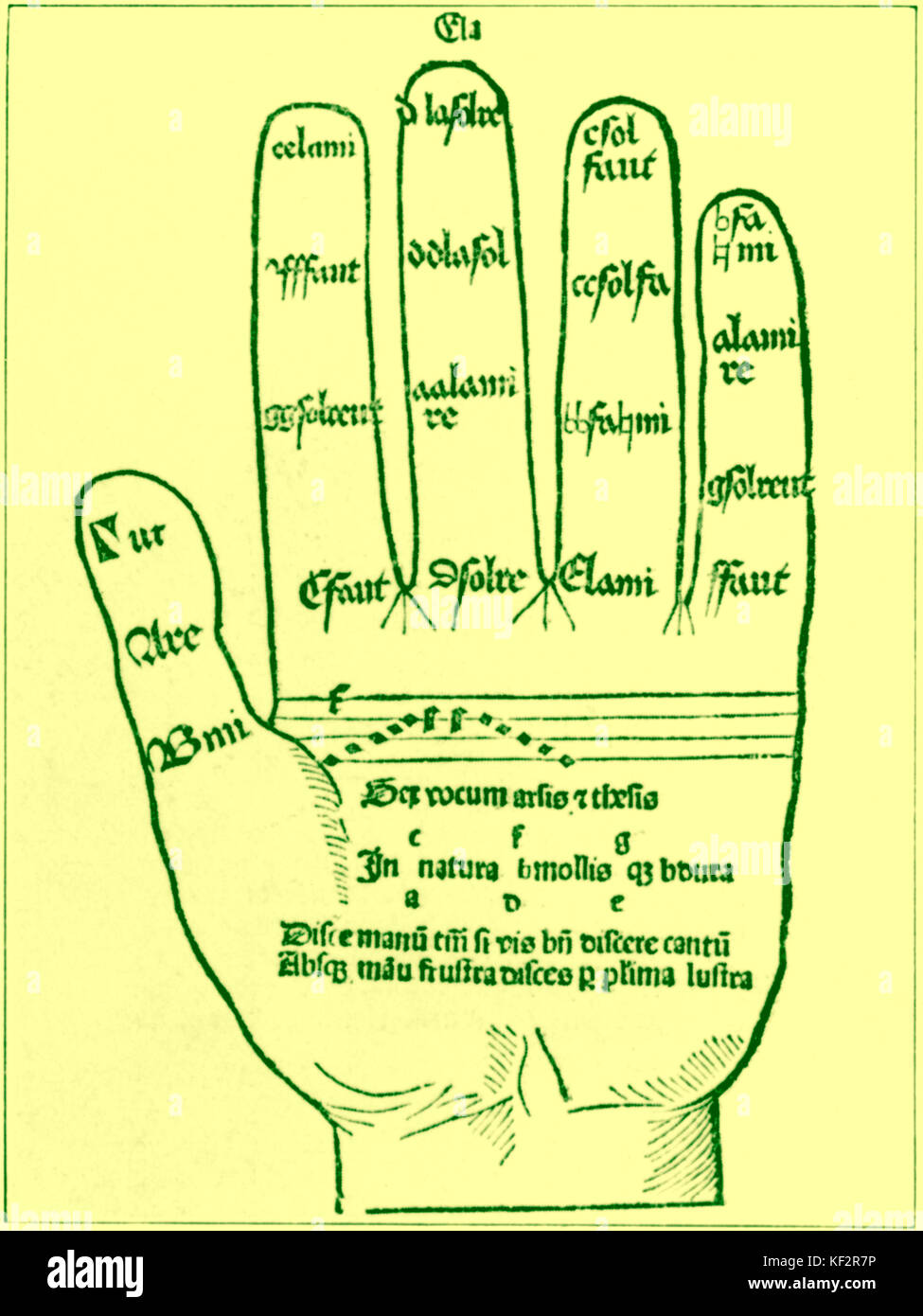 Guidonian hand - Abbildung von Hugo Spechtshart von Reutlingen Abhandlung "Flores Musicae Omnis Cantus Gregoriani", in Stasburg, 1488 veröffentlicht. Gedächtnisstütze zum Anzeigen der Noten der Skala. Musiktheoretiker: 1285 - 1360. Stockfoto