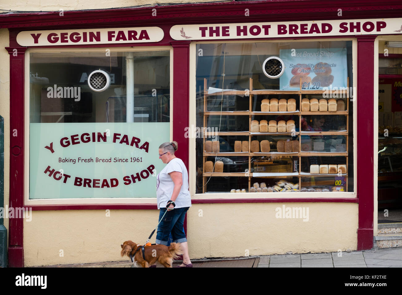 Warmes Brot shop Bäckerei Aberystwyth, Ceredigion, Wales UK Stockfoto