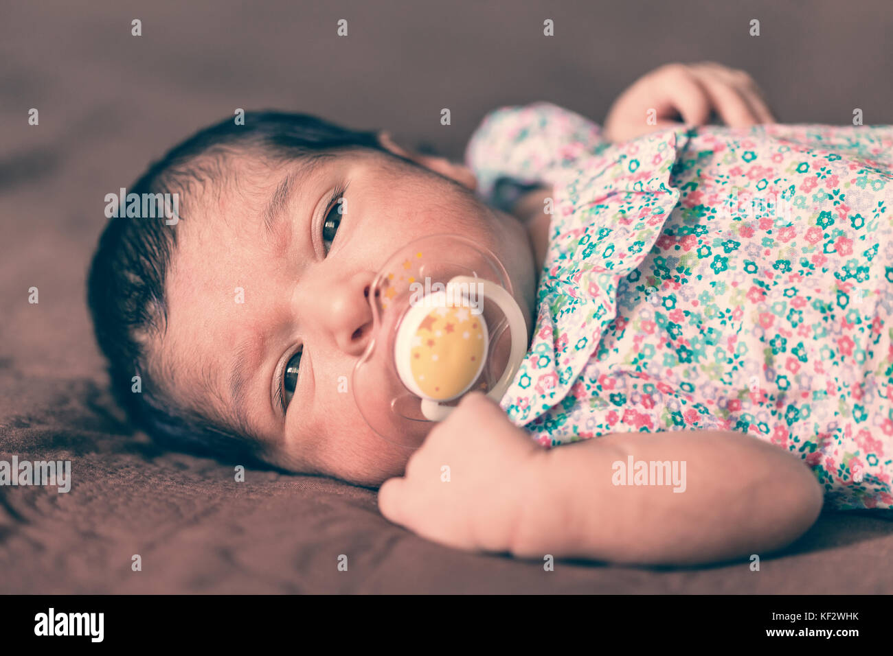 Porträt einer Zwei Wochen alte Neugeborene Mädchen liegend mit einem Schnuller oder Dummy, an der Kamera mit einem geblümten Kleid/neugeborenes Baby Schnuller dummy Stockfoto