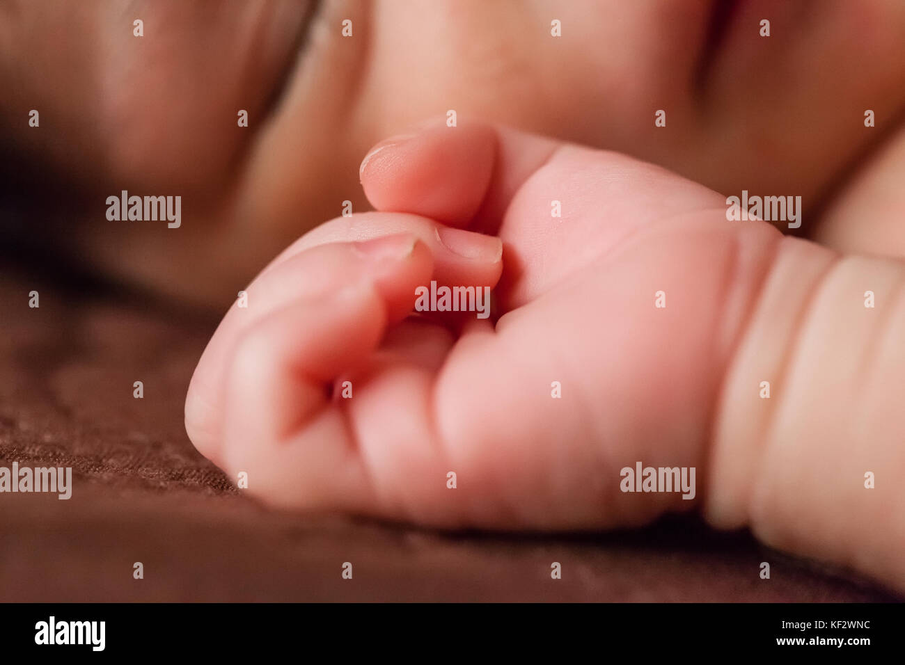 Nahaufnahme eines kleinen und zarten Hand eines niedlichen kleinen Zwei Wochen alte Neugeborene Mädchen, friedlich schlafend im Bett/Neugeborenen hand baby girl Nahaufnahme Stockfoto