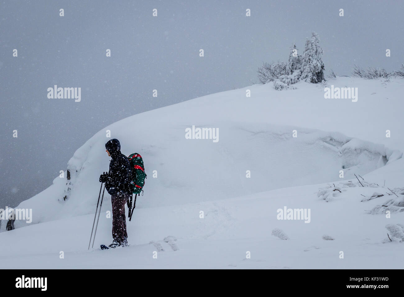 Ein einsamer Schneeschuh Wanderer trotzt ein Schneesturm in der Nähe einer Klippe in die "Reservierung natürliche tanet Gazon' während ein Wintertag in den Vogesen, Frankreich Stockfoto