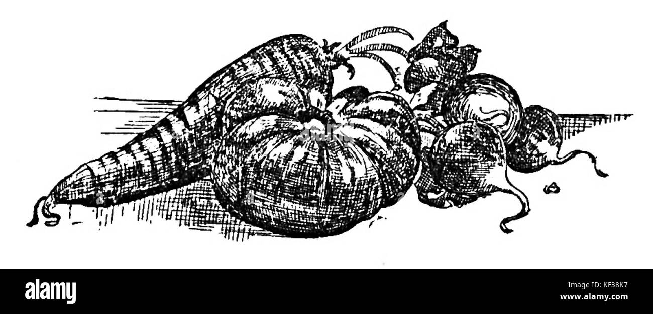 Potrawy z ryb Seite 27 Stockfoto