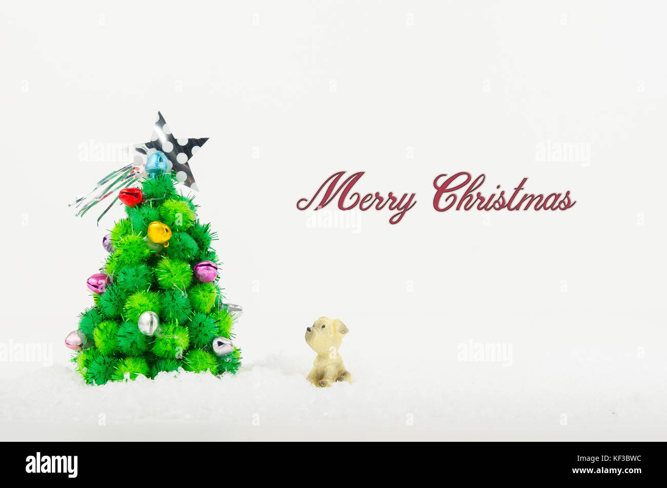 Hund suchen Weihnachtsbaum auf weißem Hintergrund Stockfoto