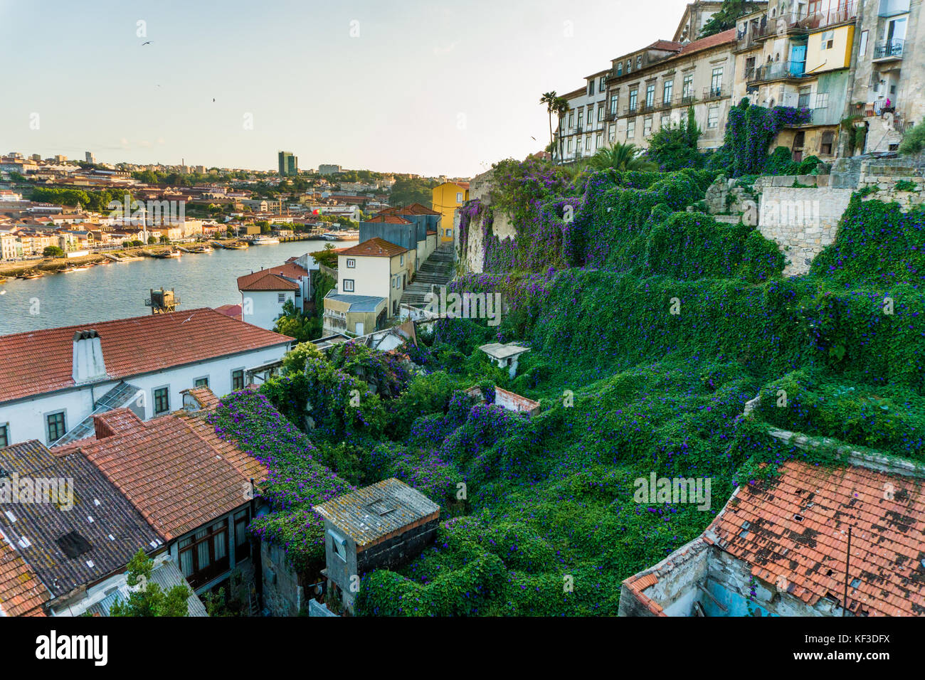 Porto, Portugal - Juli, 2017. Blick auf Dom Luis i bei Sonnenuntergang auf dem Fluss Douro in Vila Nova de Gaia, Porto, Portugal. malerischen urbanen Stadtlandschaft. Stockfoto