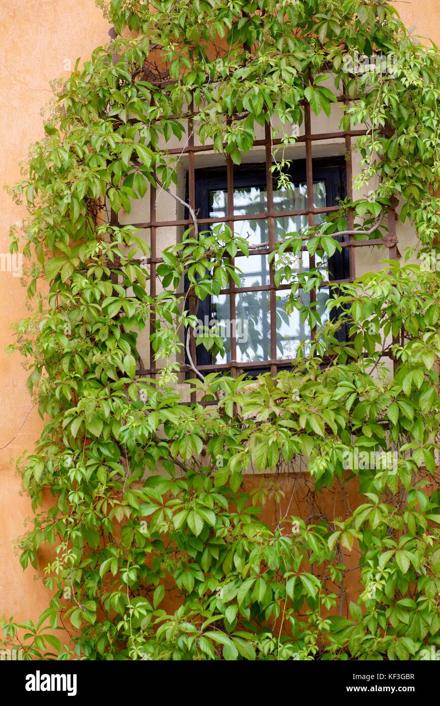 Geschlossene Fenster in Cuenca, Castilla la Mancha, Spanien. Stockfoto