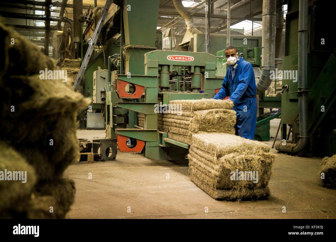 Arbeiter in einem Werk die Verarbeitung von Hanffasern für den industriellen Einsatz Stockfoto