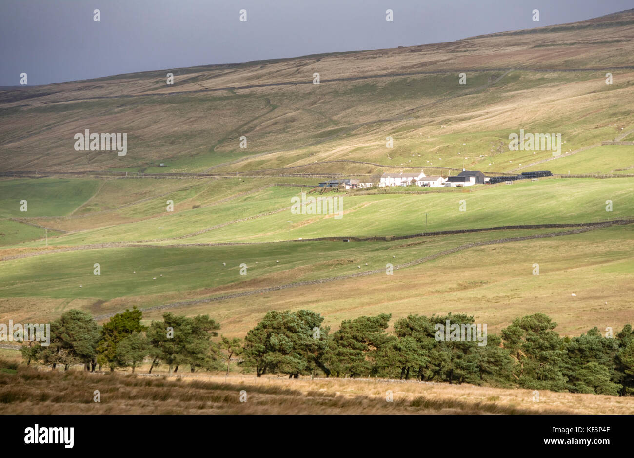 Remote Bauernverbände in oberen Teesdale, County Durham, England, Großbritannien Stockfoto