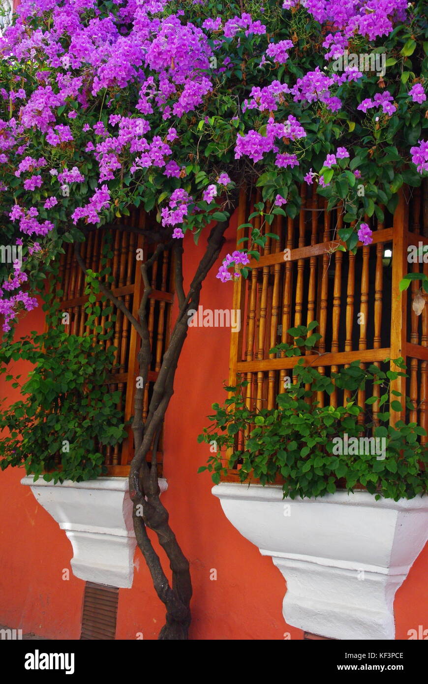 Ein farbenfrohes Haus mit lila Blumen in Cartagena, Kolumbien Stockfoto