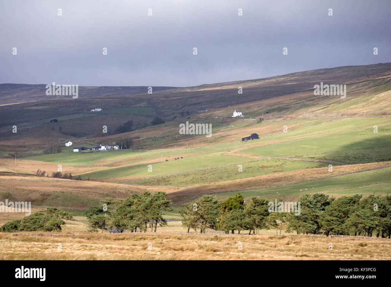 Remote Bauernverbände in oberen Teesdale, County Durham, England, Großbritannien Stockfoto