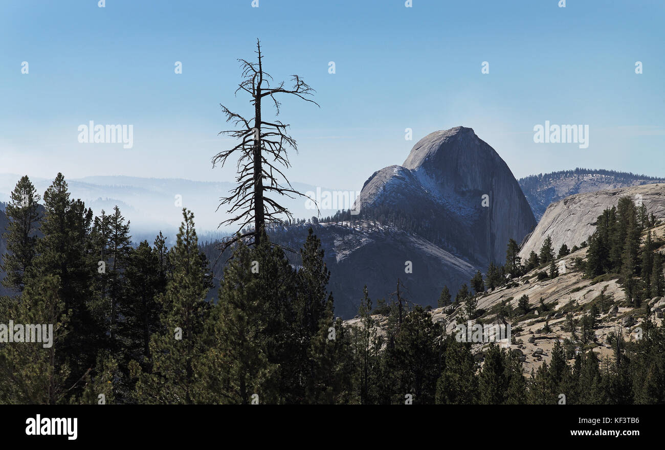 Half Dome von hinten an Olmsted Point, Yosemite National Park, Kalifornien, USA gesehen. Stockfoto