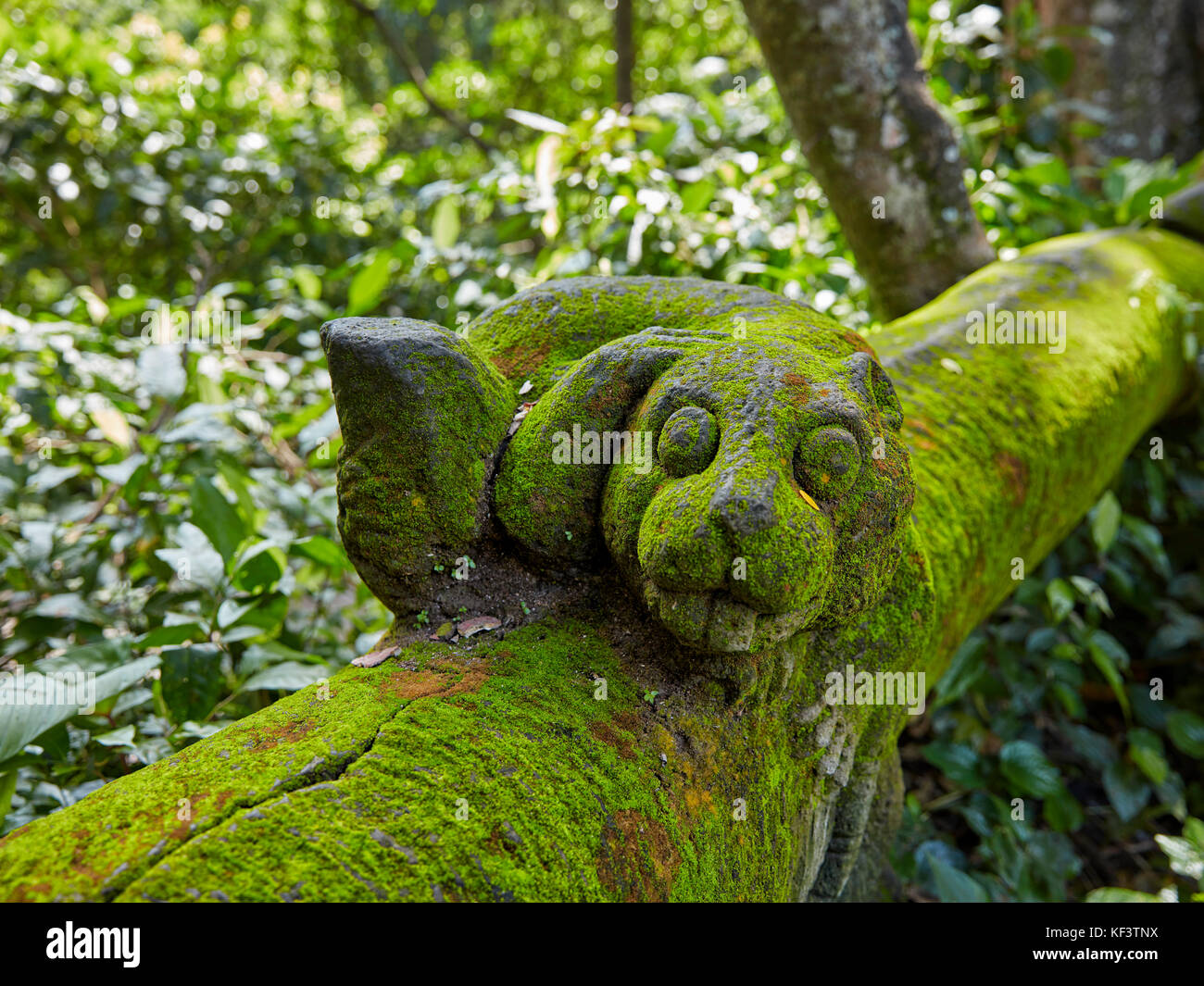 Eine Statue aus Mossy Stein im Heiligsten Affenwaldreservat. Ubud, Bali, Indonesien. Stockfoto